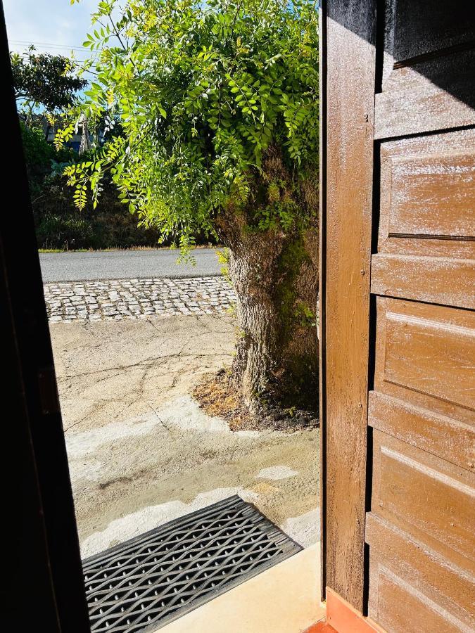 Mae Home Carril Caldas Da Rainha Kültér fotó